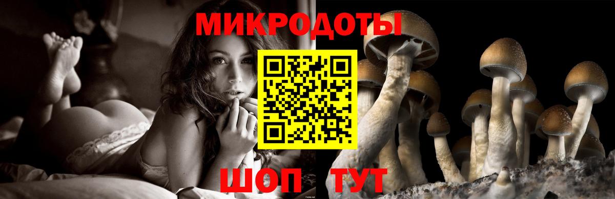 Егорьевск  Псилоцибиновые грибы Cubensis  Вход с VPN 